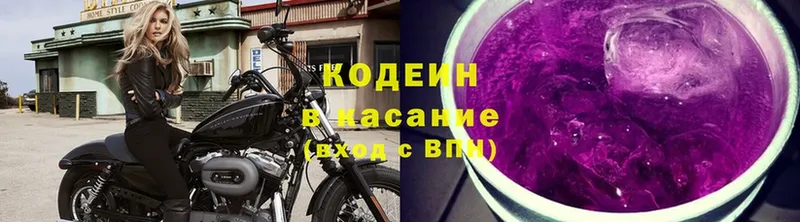 купить  цена  Избербаш  блэк спрут вход  Кодеиновый сироп Lean Purple Drank 